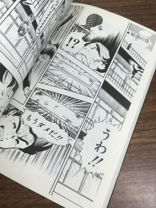 Boy'S Manga 7 3 Wingman