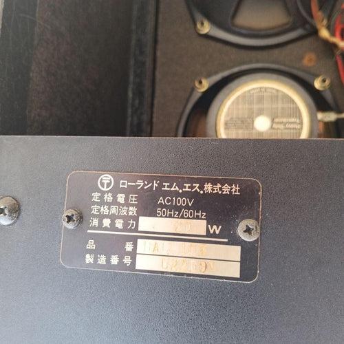 Roland Guitar Amplifiers Dac-15X Jack In