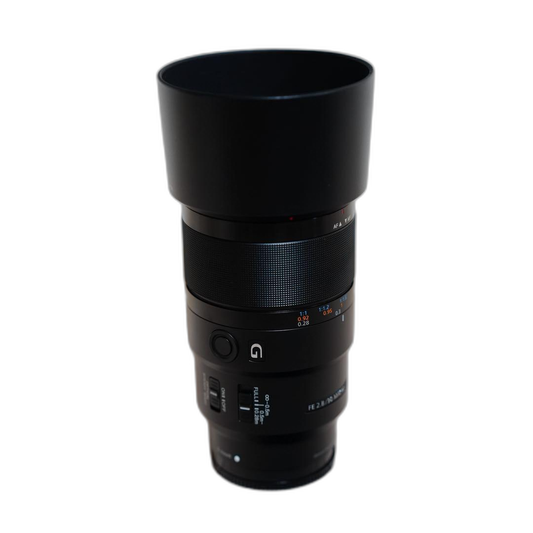 Sony Lens (Single Focus) Fe F2.8 Macro G Oss Sel90M28G