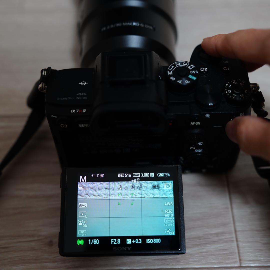 Sony Lens (Single Focus) Fe F2.8 Macro G Oss Sel90M28G