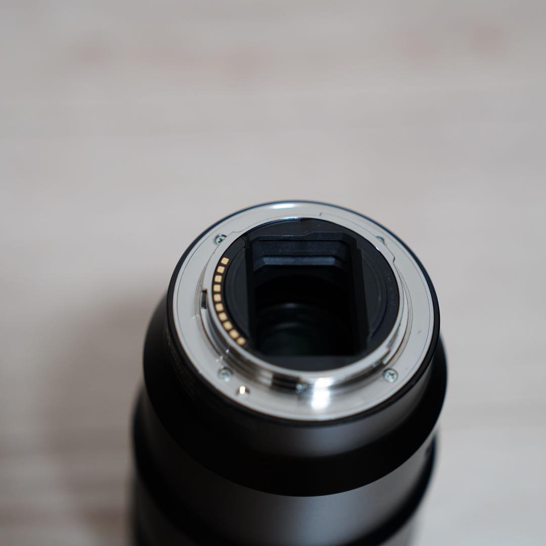 Sony Lens (Single Focus) Fe F2.8 Macro G Oss Sel90M28G