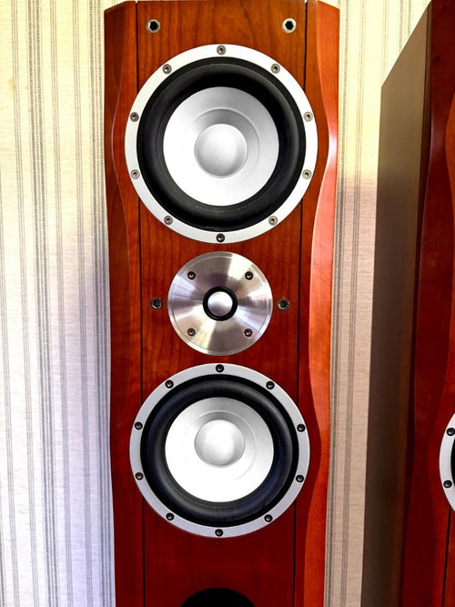 Esoteric Speakers Mg-20 770,000
