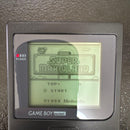 Nintendo Body (Pocket) Game Boy
