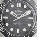 Omega Others 210.30.42.20.01.010 Ss