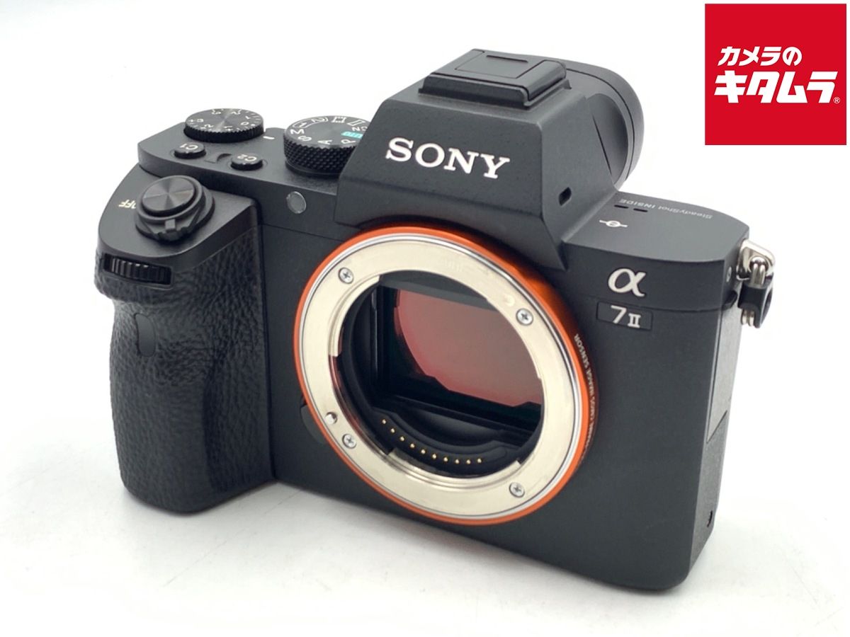 Mirrorless Interchangeable Lips 7Ii [Ilce-7M2]