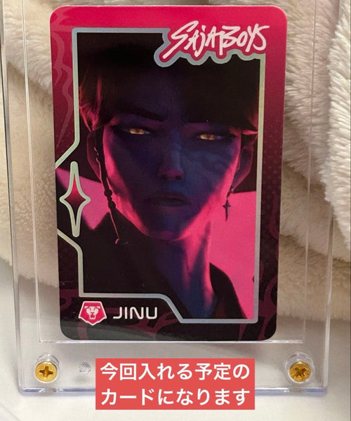 Trading Card Cases Hard