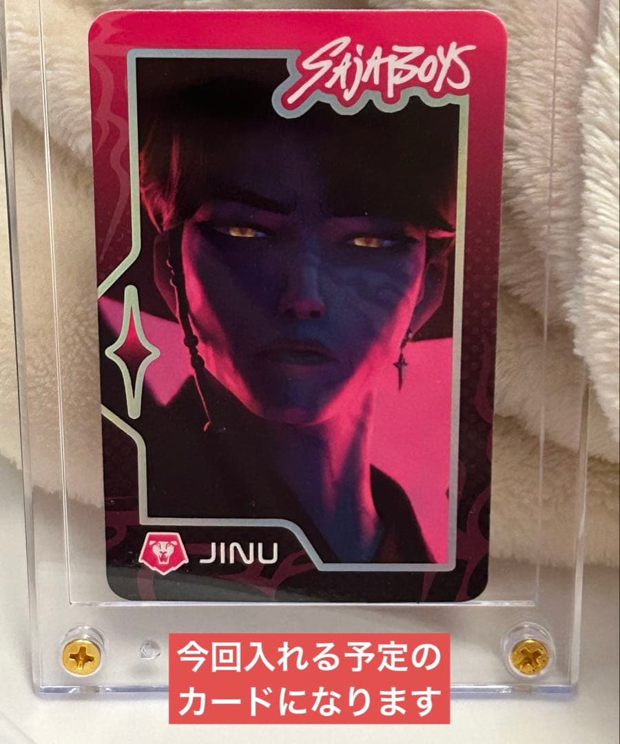 Trading Card Cases Hard