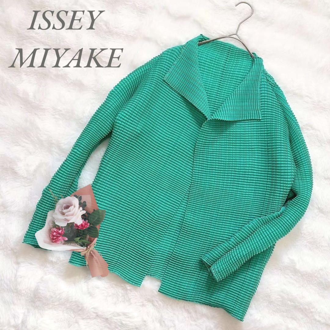 Issey Miyake Long-Sleeve (M)