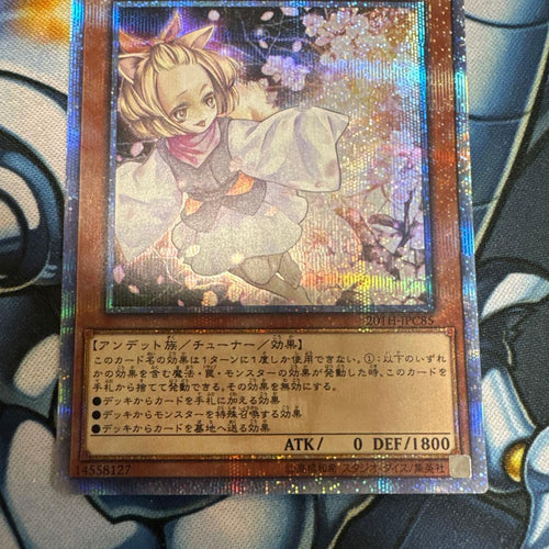 Yu-Gi-Oh! Ocg Duel Monsters (Japanese) 20Th