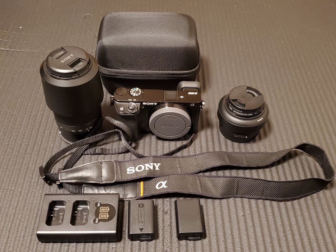 Sony Mirrorless Interchangeable Lips 6000