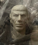 Amt Sci Fi, Fantasy Horror Star Trek Mr. Spock 12