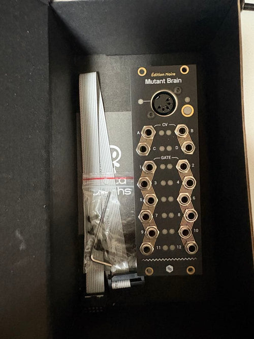 Modular Synthesizers Hexinverter Mutant Brain Edition Noire