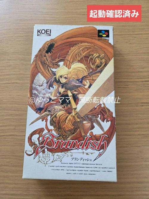 Koei Games Brandish Rpg