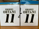 Hokkaido Nipponham Fighters Commemorative Goods Descente