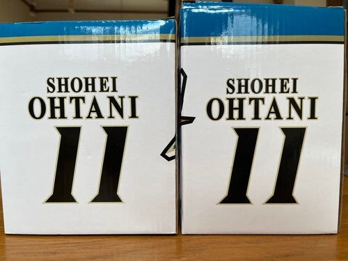 Hokkaido Nipponham Fighters Commemorative Goods Descente