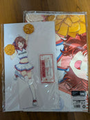 Acrylic Stands S A
