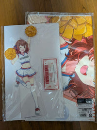 Acrylic Stands S A