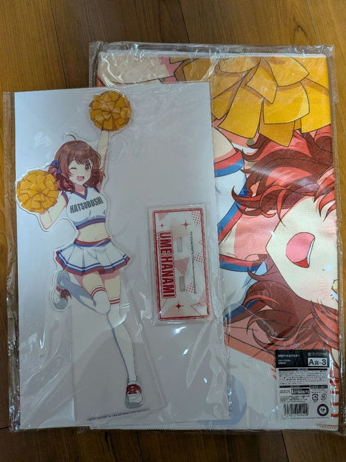 Acrylic Stands S A