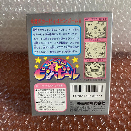 Nintendo Soft