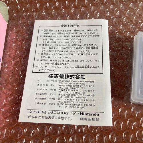 Nintendo Soft