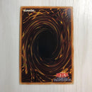 Yu-Gi-Oh! Ocg Duel Monsters (Japanese)