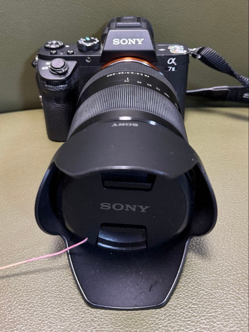 Sony Mirrorless Interchangeable Lips 7Ii