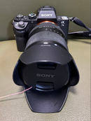 Sony Mirrorless Interchangeable Lips 7Ii