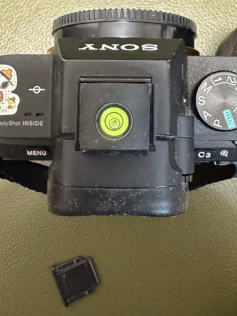 Sony Mirrorless Interchangeable Lips 7Ii