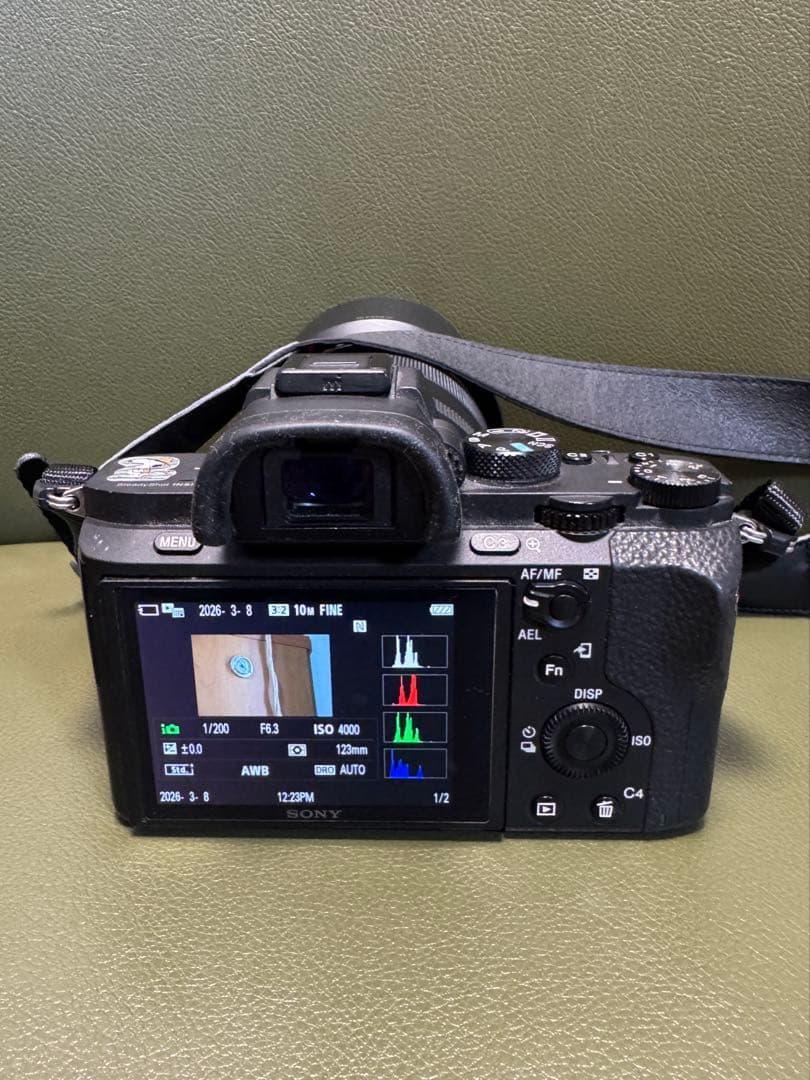 Sony Mirrorless Interchangeable Lips 7Ii