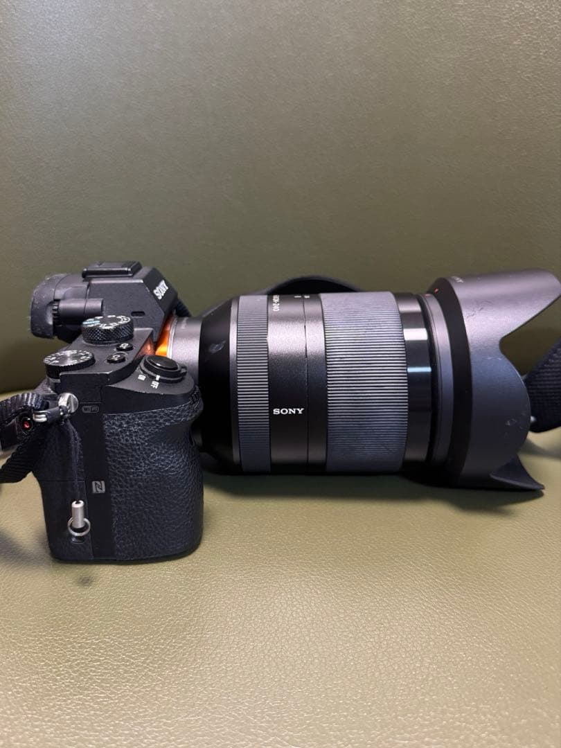Sony Mirrorless Interchangeable Lips 7Ii