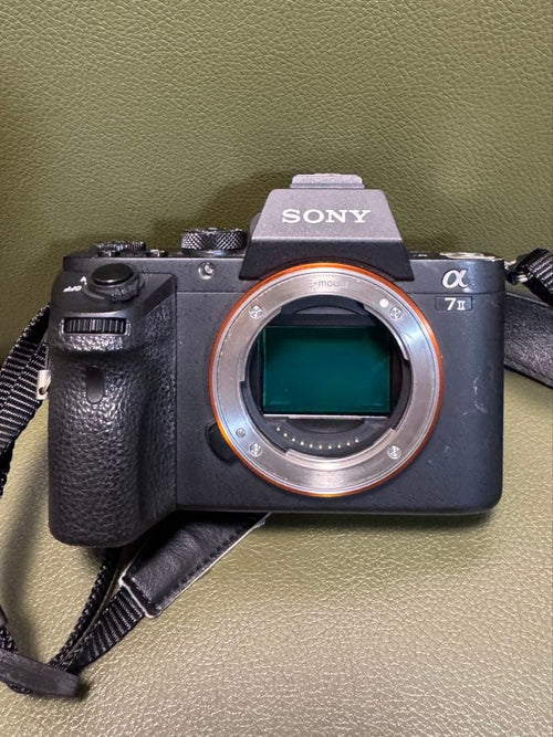 Sony Mirrorless Interchangeable Lips 7Ii