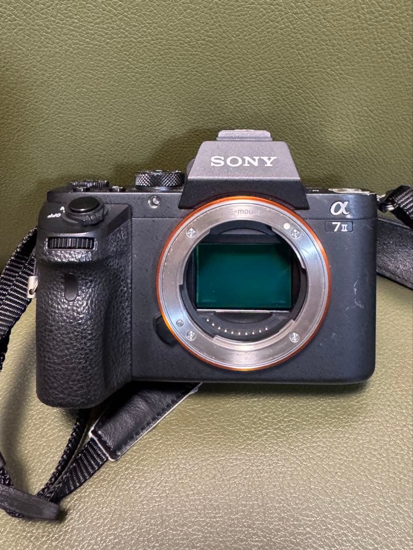 Sony Mirrorless Interchangeable Lips 7Ii