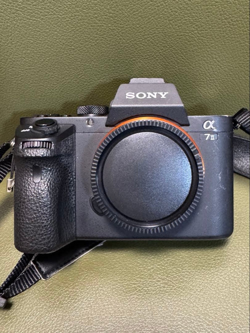 Sony Mirrorless Interchangeable Lips 7Ii