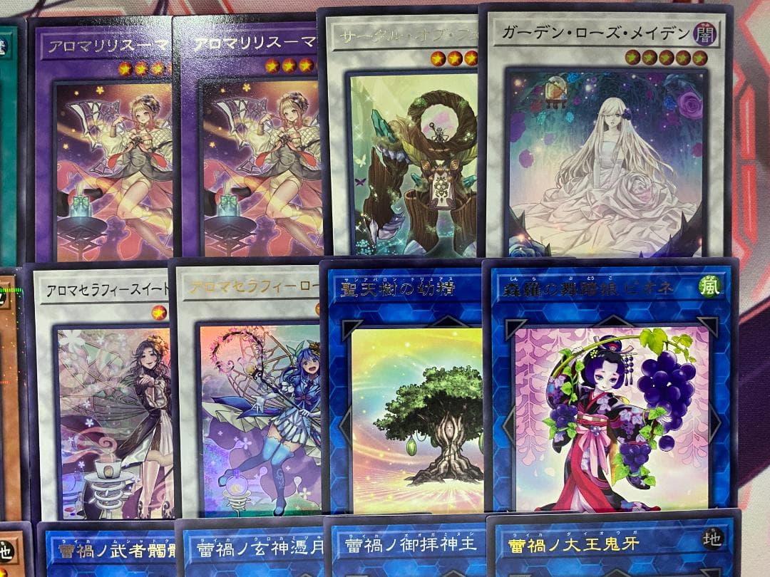 Yu-Gi-Oh! Ocg Duel Monsters (Japanese)