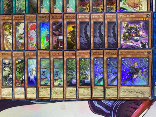 Yu-Gi-Oh! Ocg Duel Monsters (Japanese)