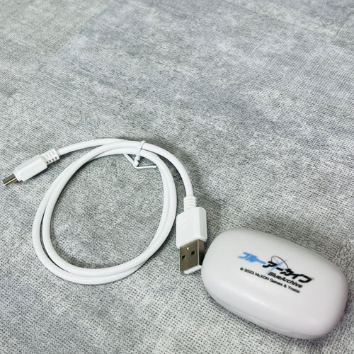 Onkyo Wireless Earphone Anima Aow01 Blue Archive