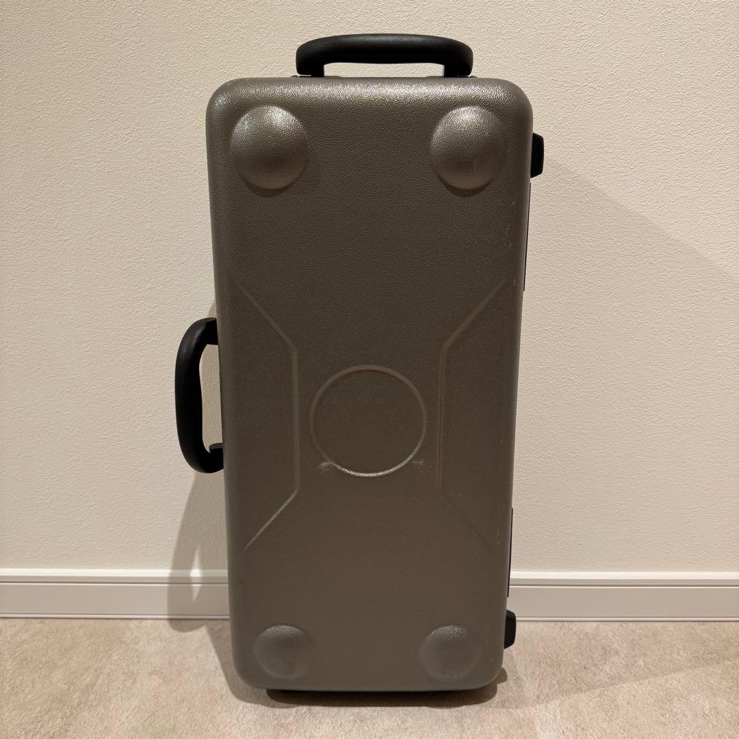 Yamaha Sack Case