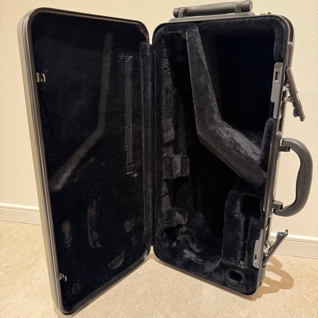 Yamaha Sack Case