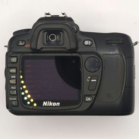 Nikon Digital Slr D80 Ccd