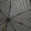Balculation For Sunny And Rain