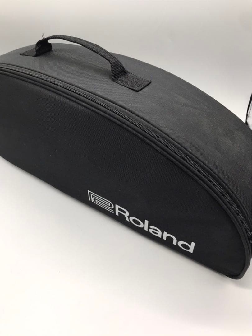Other Roland Ae10