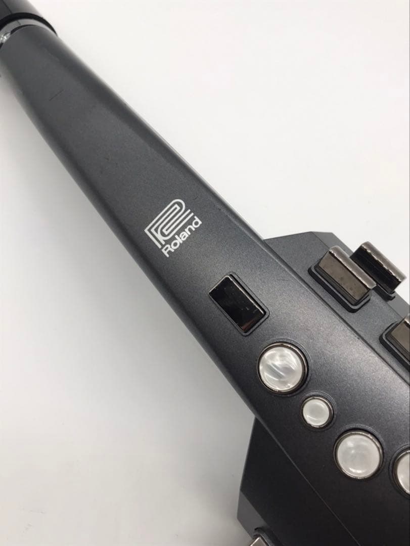 Other Roland Ae10