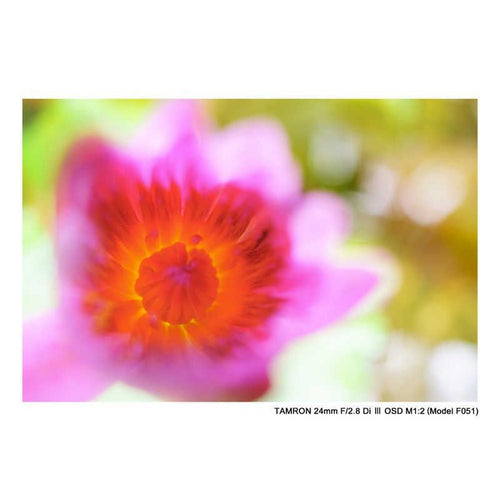Tamron Others E F/2.8 Di Iii Osd M1 2 (Model F051)