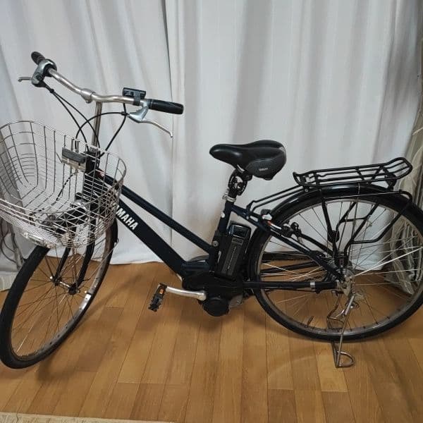 City-Style Bicycles Pas