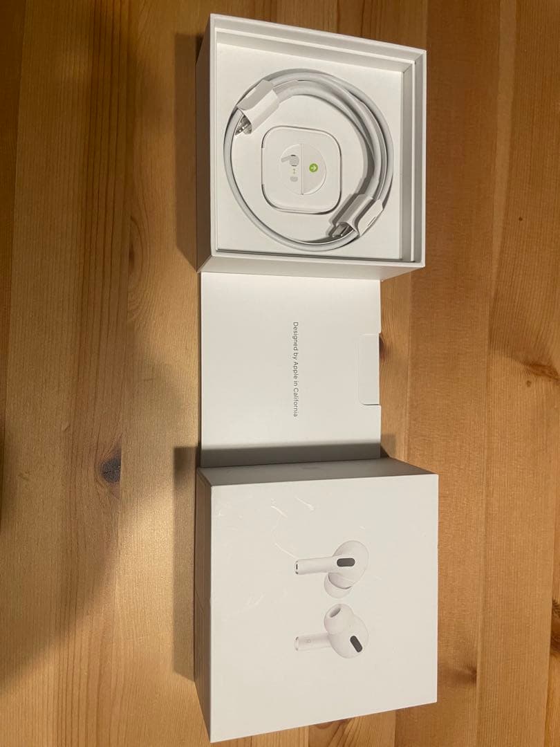 Apple Airpods Body Pro 1