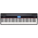 Analog Synthesizer Roland Go Piano 61