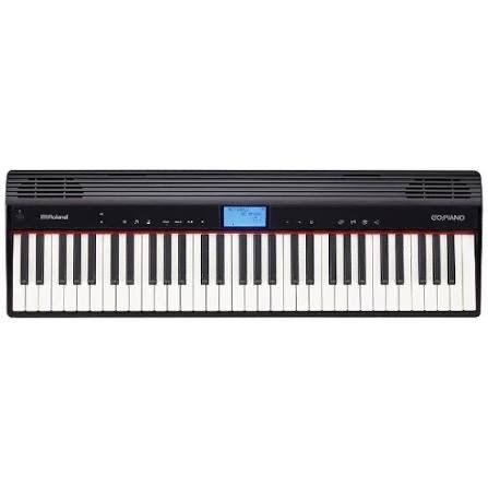 Analog Synthesizer Roland Go Piano 61