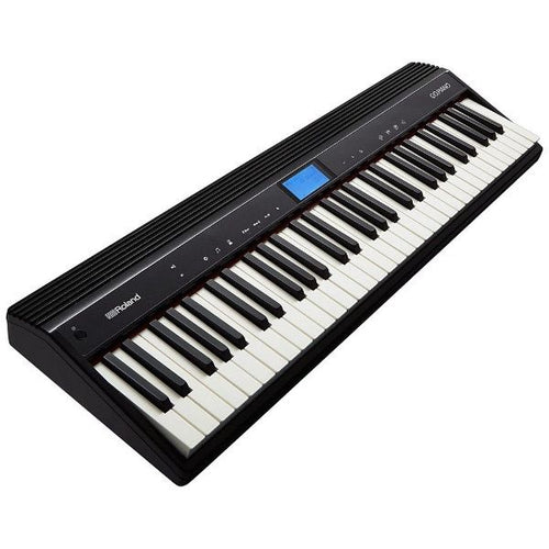 Analog Synthesizer Roland Go Piano 61