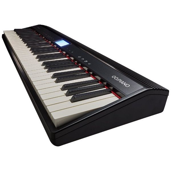 Analog Synthesizer Roland Go Piano 61