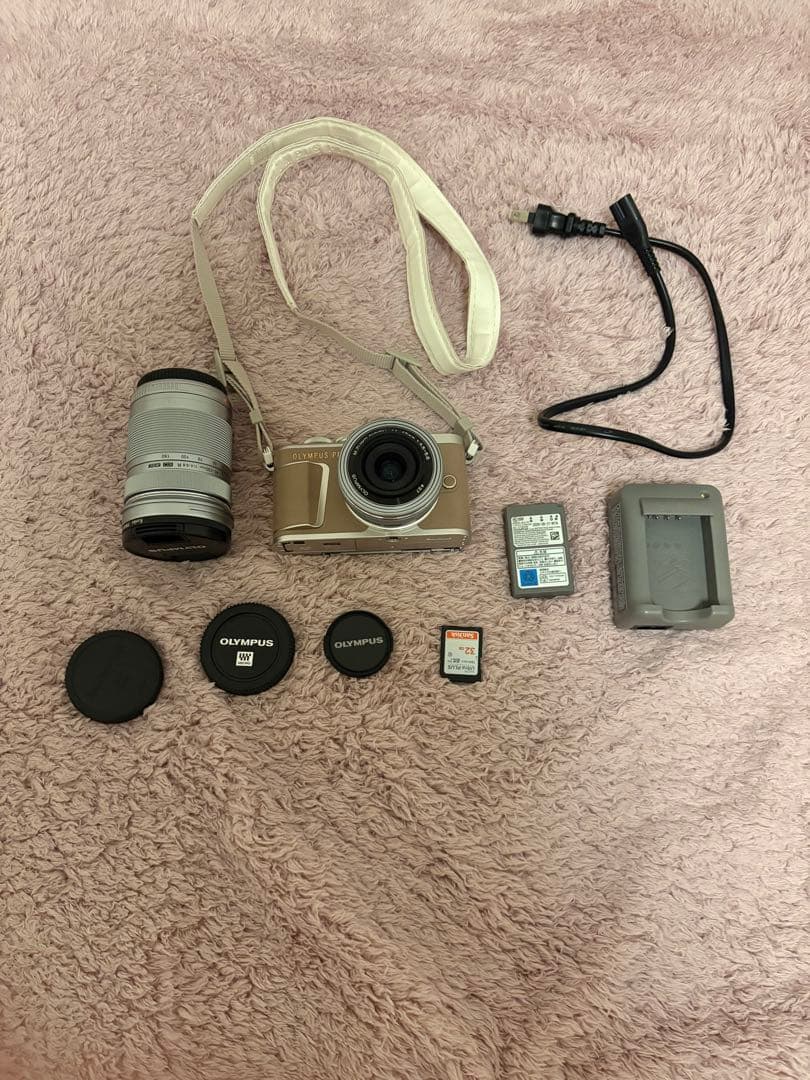 Olympus Mirrorless Interchangeable Lips Pen E-Pl10